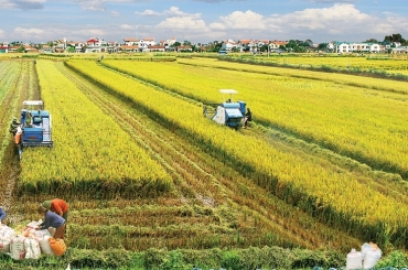 Luật Đất đai 2024: Điều kiện chuyển đổi quyền sử dụng đất nông nghiệp